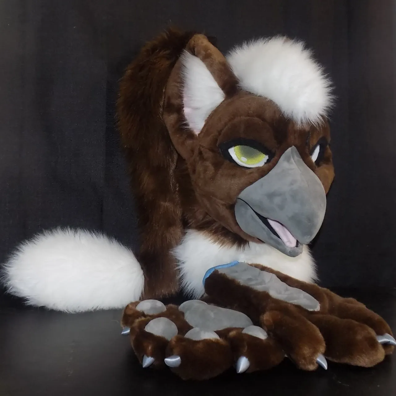 CCS Mascots fursuit 21
