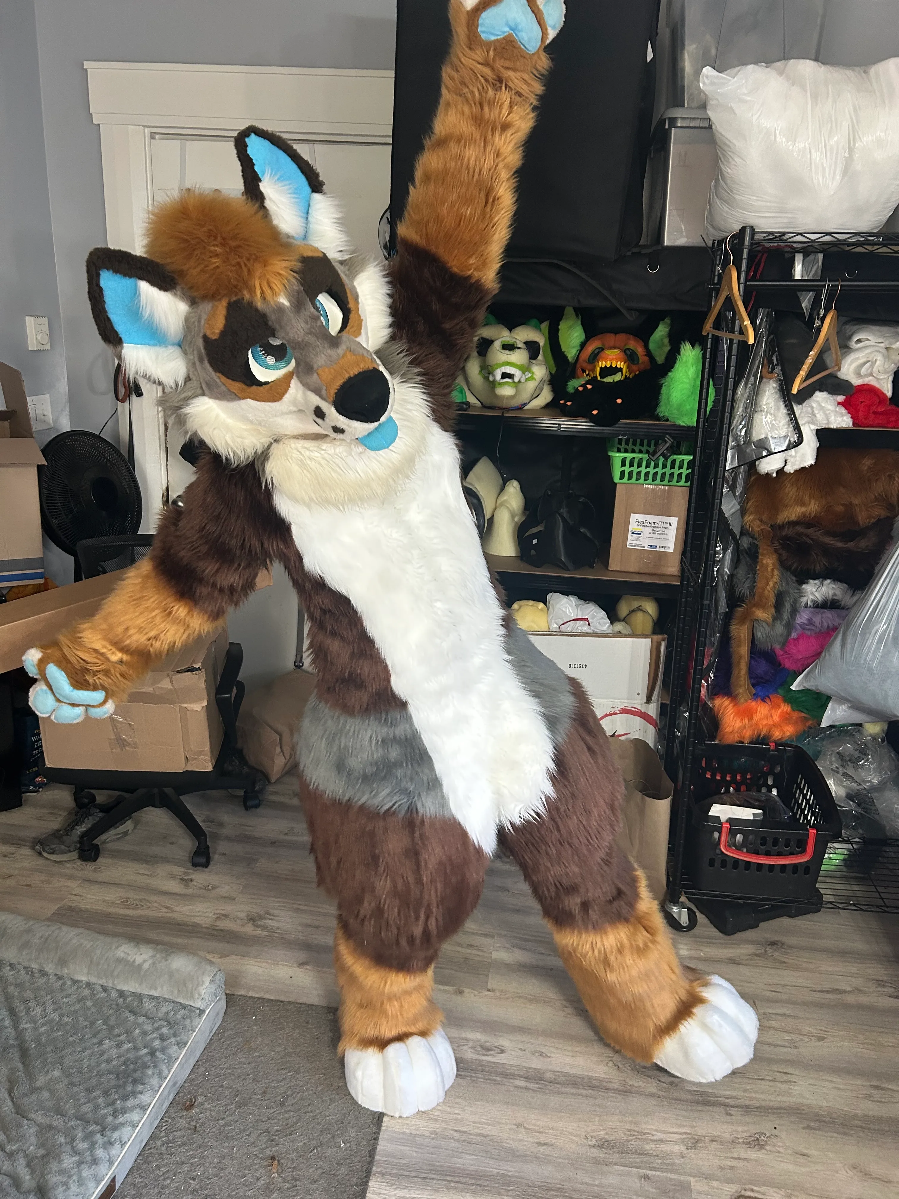 CCS Mascots fursuit 12