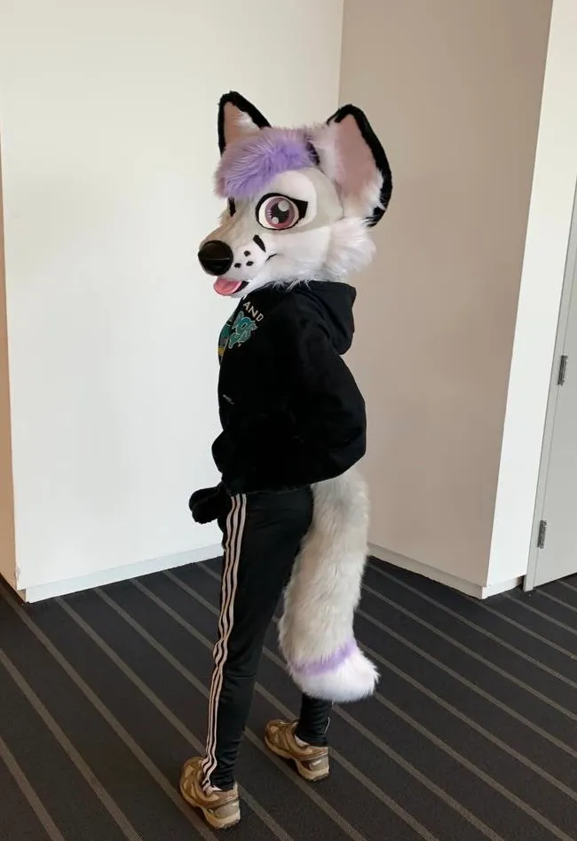 CCS Mascots fursuit 28