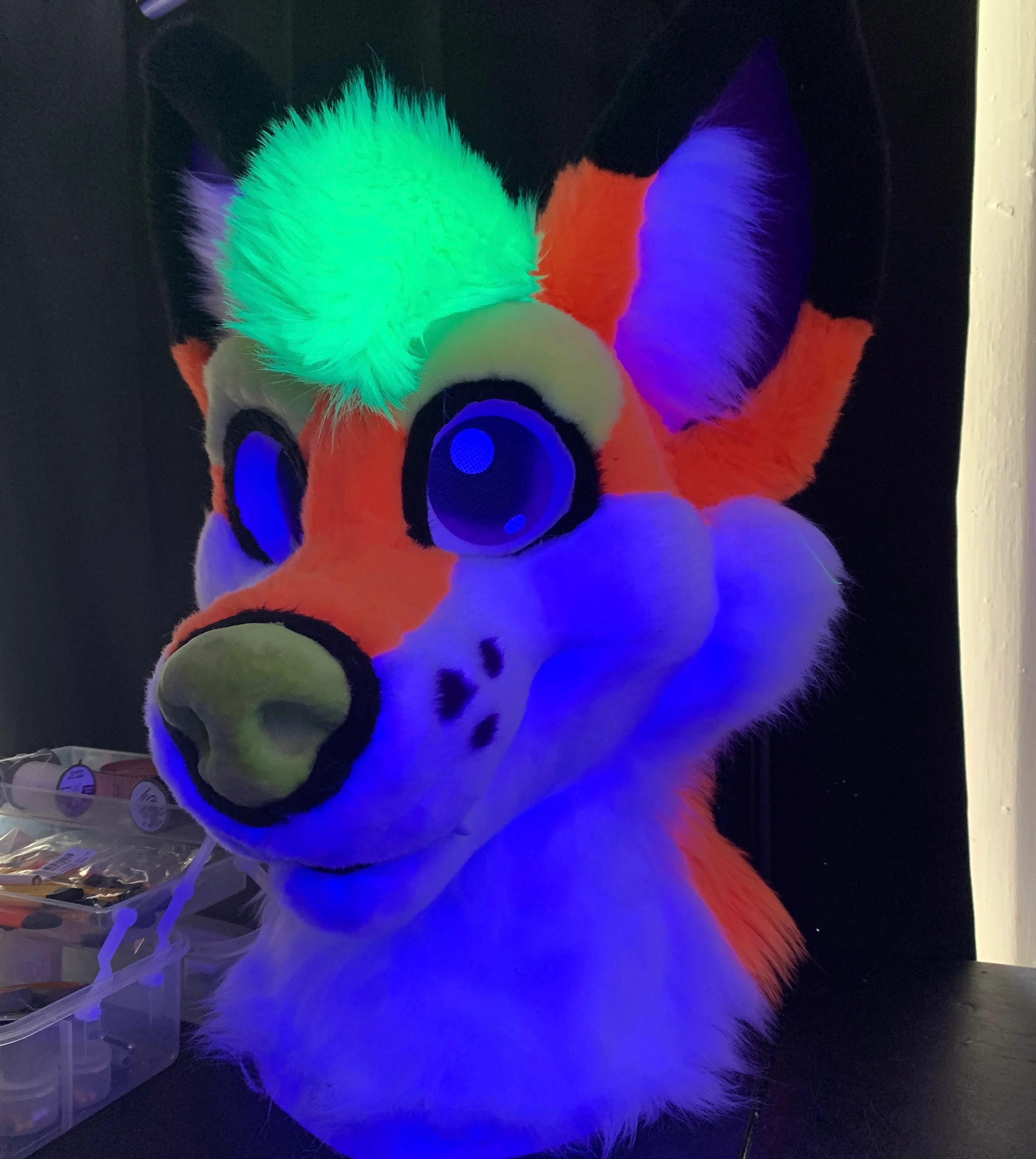 CCS Mascots fursuit 33