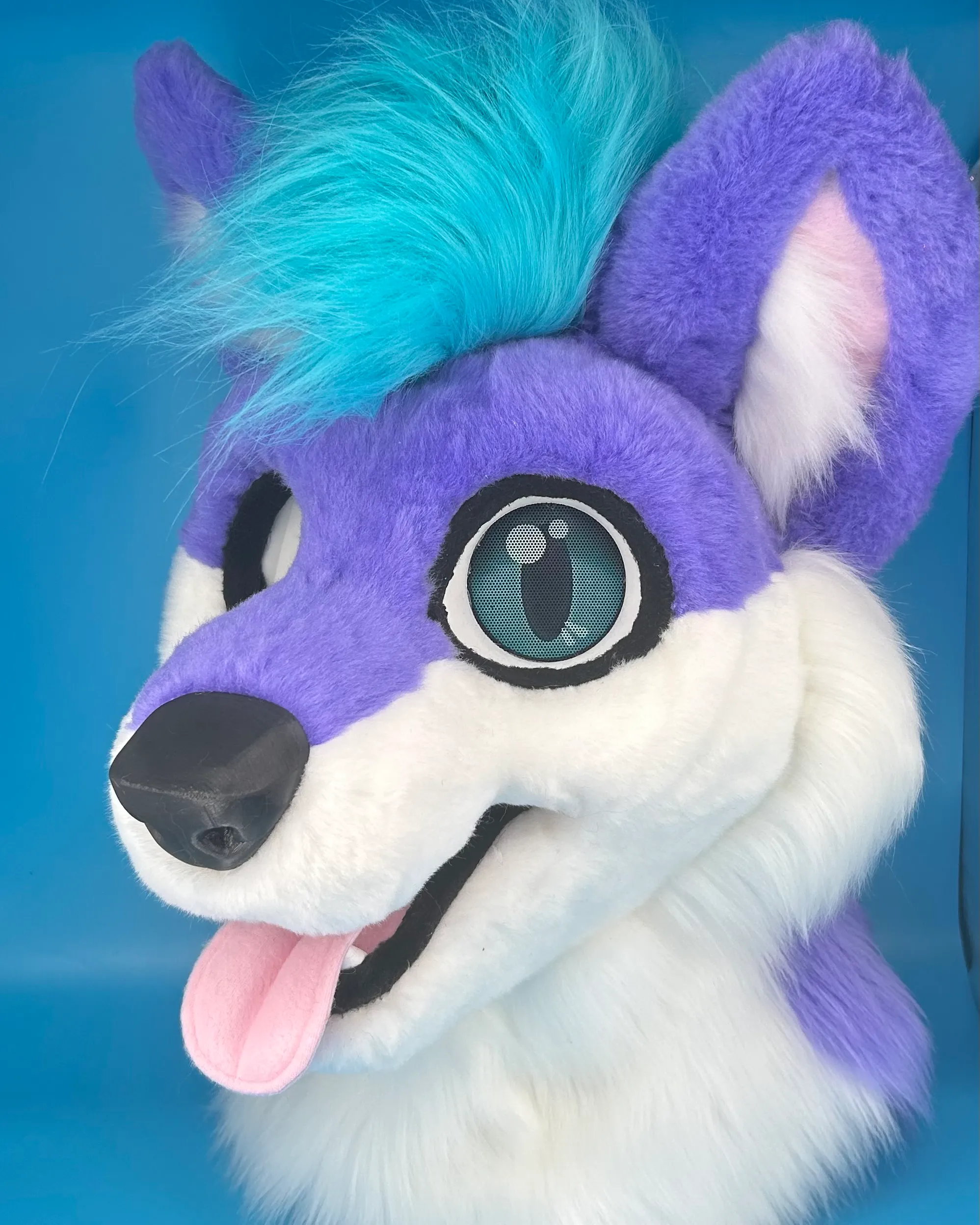 CCS Mascots fursuit 9