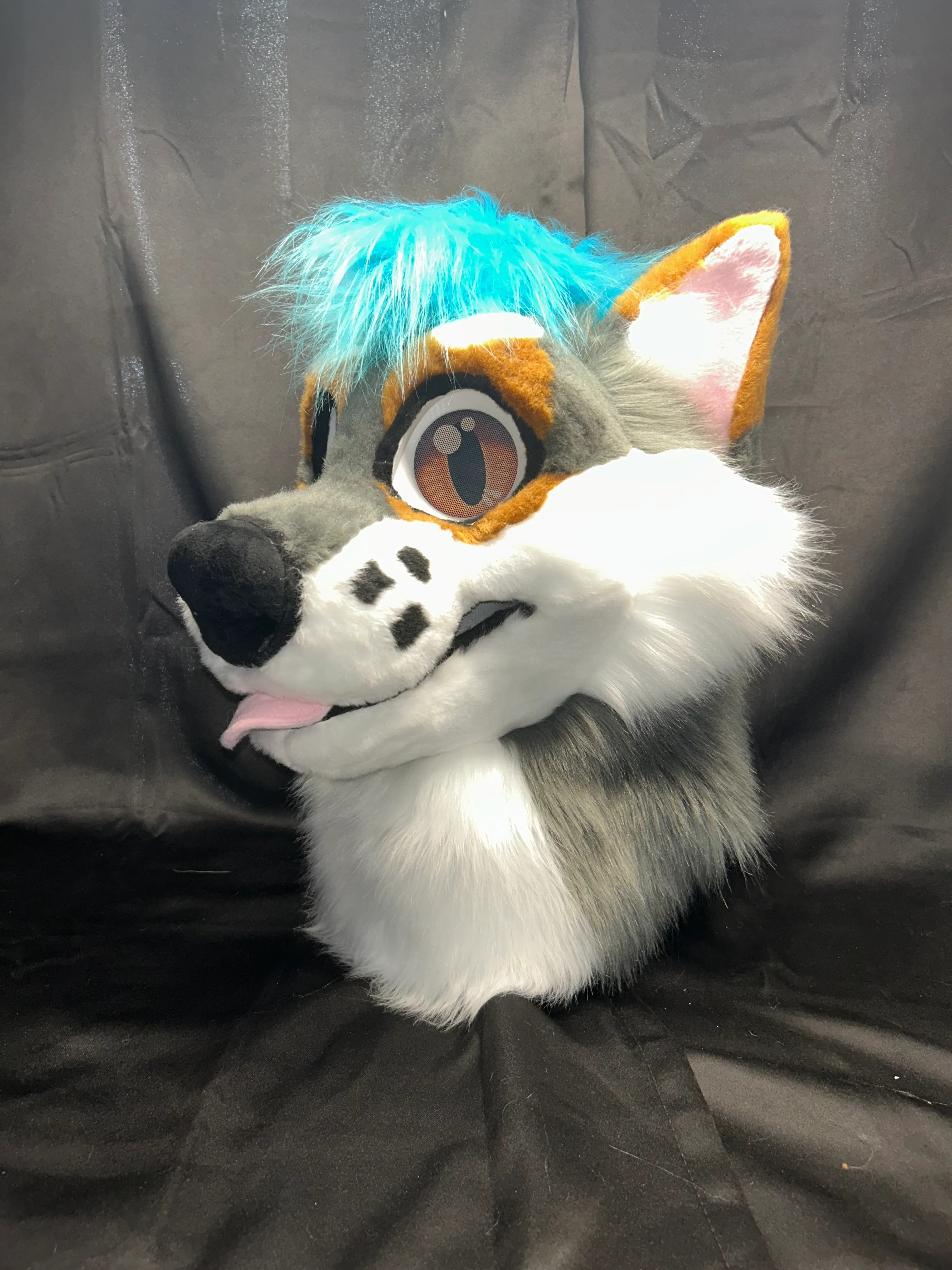 CCS Mascots fursuit 3
