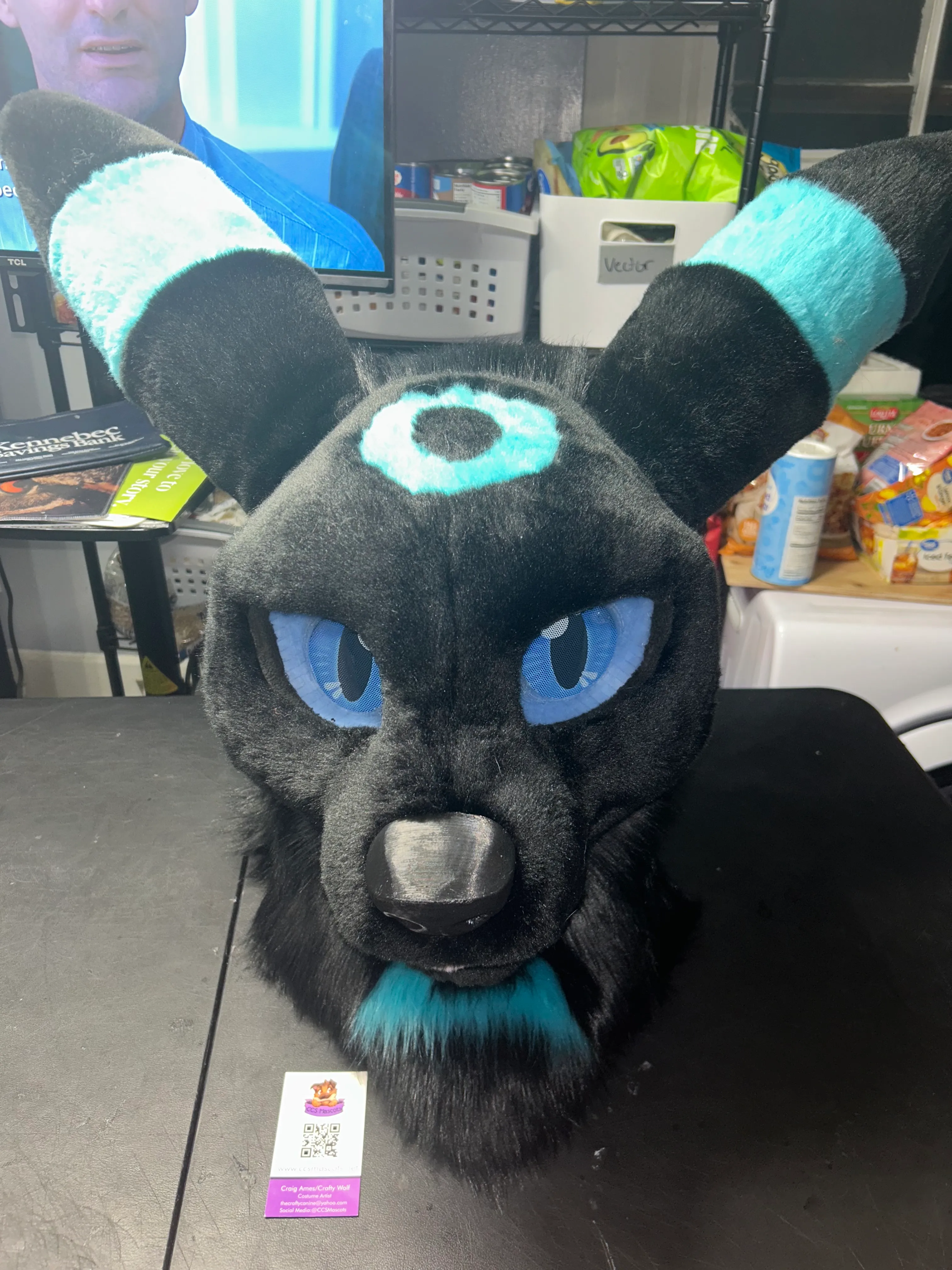 CCS Mascots fursuit 5