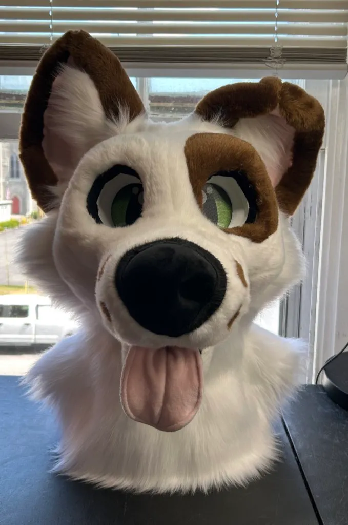 CCS Mascots fursuit 13