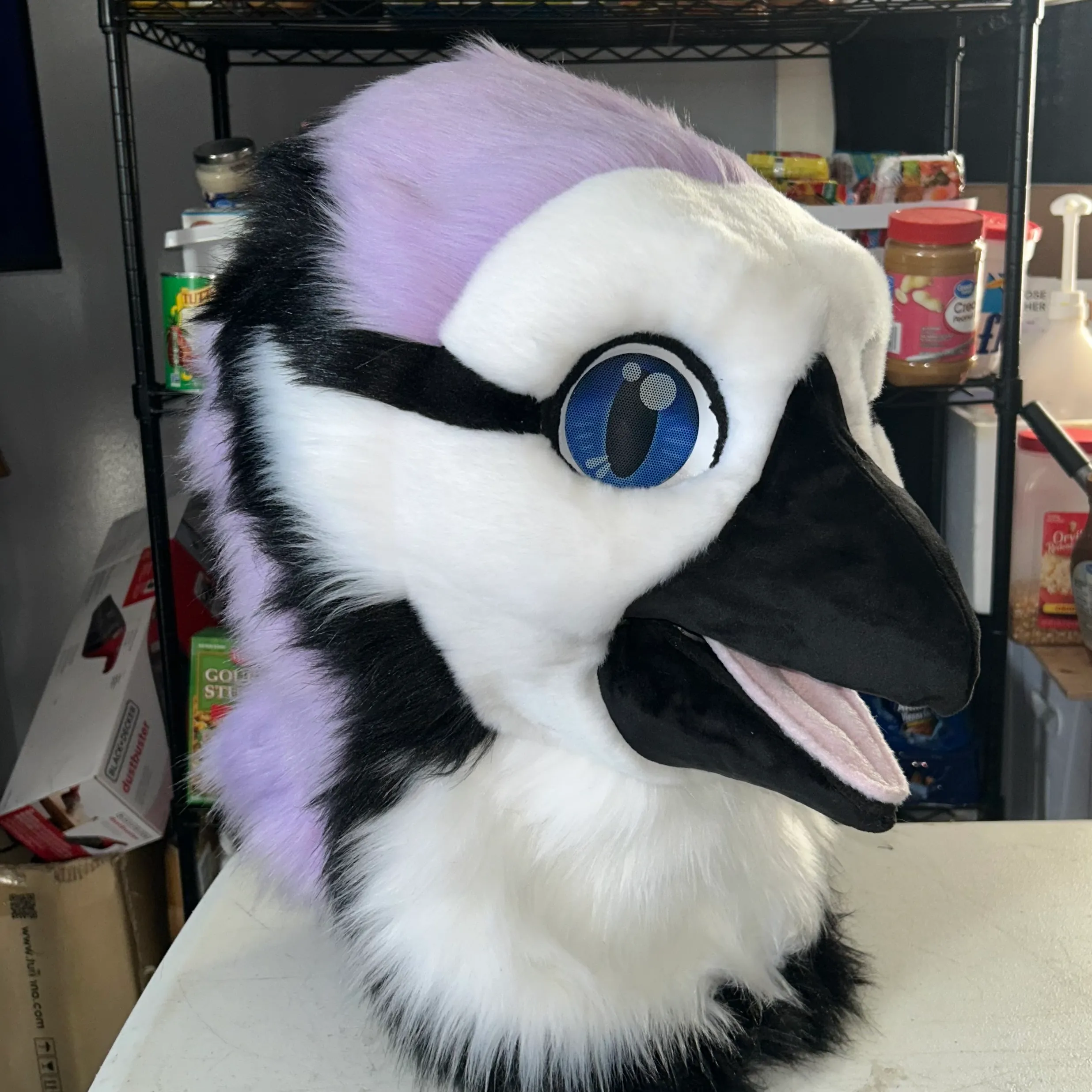 CCS Mascots fursuit 11
