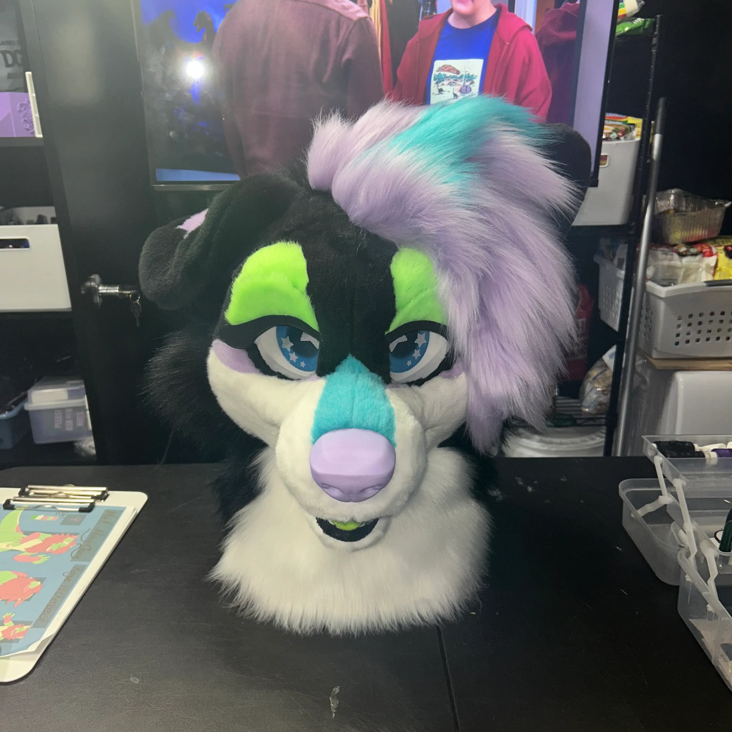 CCS Mascots fursuit 6